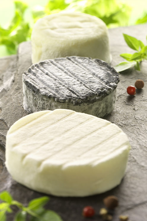 Chèvre