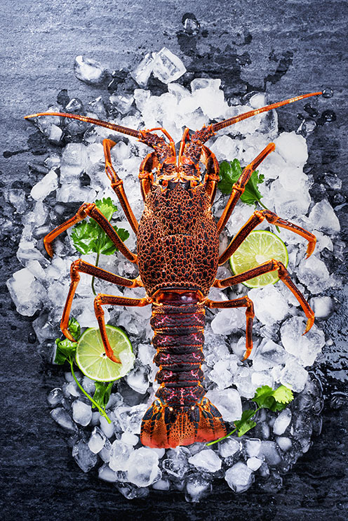 Homard