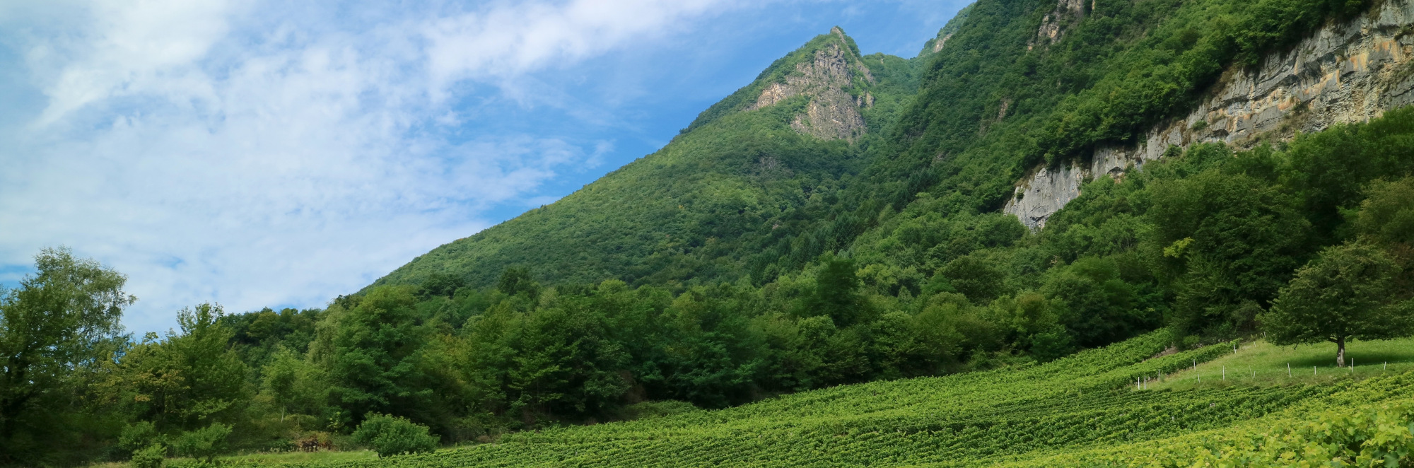 Savoie et Bugey