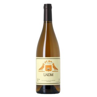 Mai et Kenji Hodgson - LNDM 2023 – Réf : 1017523 – 6
