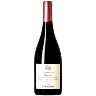 Errazuriz - Chili - Aconcagua Costa Pinot Noir 2021 – Réf : 1185021 – 19