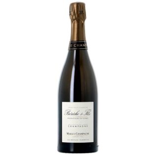 Bérêche & Fils - Mailly Champagne 2018 - Extra Brut – Réf : 1218718