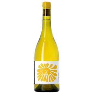 Femme Soleil 2024 – Réf : 750424