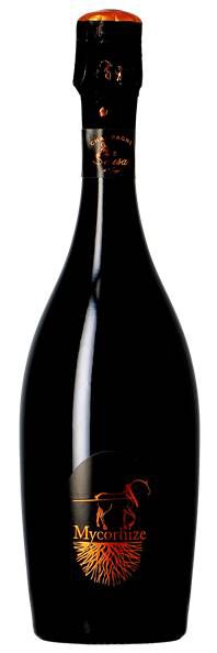 Champagne De Sousa - Mycorhize