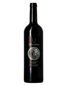 U Stiliccionu - A Vinoteca - Carcaghjolo 2021