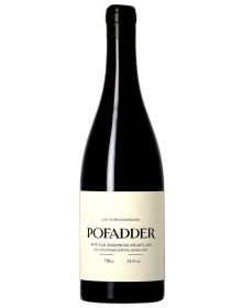 The Sadie Family - Afrique du Sud - Pofadder 2023